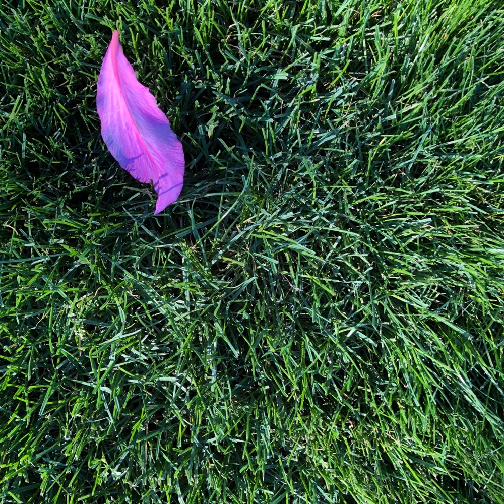 Meet your Posher, artlived